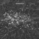 Cremate Single