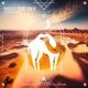 Miss the Sky EP