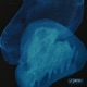 Nuit d été Single