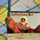 Safetyzone 2 0 Single
