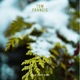 Auld Lang Syne Single