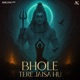 Bhole Tere Jaisa Hu Single