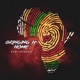 Bringing It Home feat P Square Single