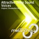 Voices Single