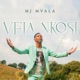 Vela Nkosi feat Ishmael Single