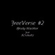FREEVERSE 2 feat Nathan Schultz Single