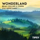 Wonderland Single