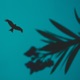 Fly Away Single