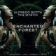 Enchanted Forest