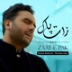Zaat E Pak Single