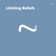 Limiting Beliefs Single