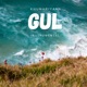 GUL DE PA ZULFO INSTRUMENTAL Single