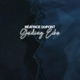 Guiding Echo Single