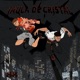 Jaula de Cristal Single