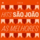 Hits São João 2024 As Melhores Do Forró E Do Sertanejo