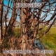 Hood Genius feat O T Genasis Single