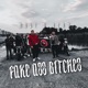 FAKE ASS BITCHES feat ACHT Single