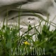 Kažkas lenda Single