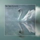 The Two Feathers Ambient Mix Single