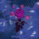 Blüten und Sterne Single