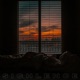 SIGHlence Single