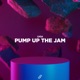 Pump up the Jam Extended Mix Single
