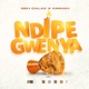 Ndipe Gwenya Single