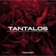 Echoes from the Netherworld Single