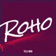 Roho Single feat Salo B Single