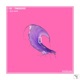 TomGroover Single