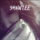 Shawtee feat D A MingTofu Single
