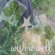wish u well Single