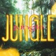 Jungle Hardstyle Single