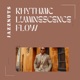 Rhythmic Luminescence Flow EP
