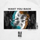 Want You Back Kaaze Touch feat Kaaze Single