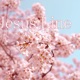 Jesus Line with JS Beatz Single