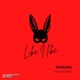 Like I Like feat ChicViBeZ Single