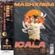 Icala feat Busi Mhlongo Remix Remix Single