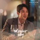 The Interest of Love Original Television Soundtrack Pt 7 Single