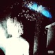 Like Dat feat OMERTAGOON Single