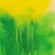 Skins Leaves Single