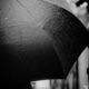 Black Umbrella Single