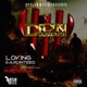 Loving Guaranteed feat M Bradley Single