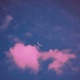 Veil of Night EP