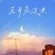 若月亮没来 Single