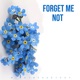 Forget Me Not Single