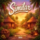 Similar Single
