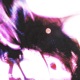 cadaver Single