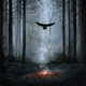 threnody grove feat Foresthymne Single