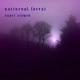 nocturnal forest super slowed Single